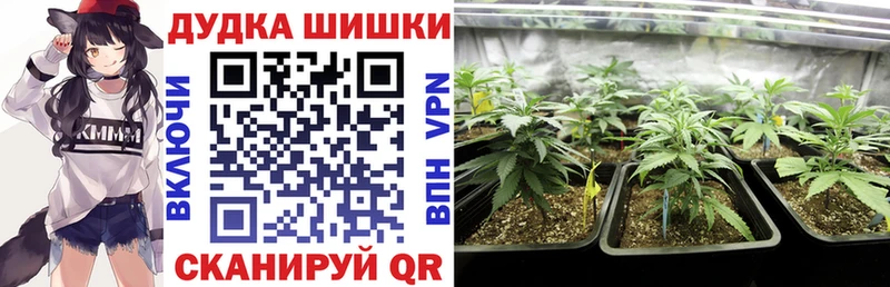 Каннабис гибрид  Белоусово 